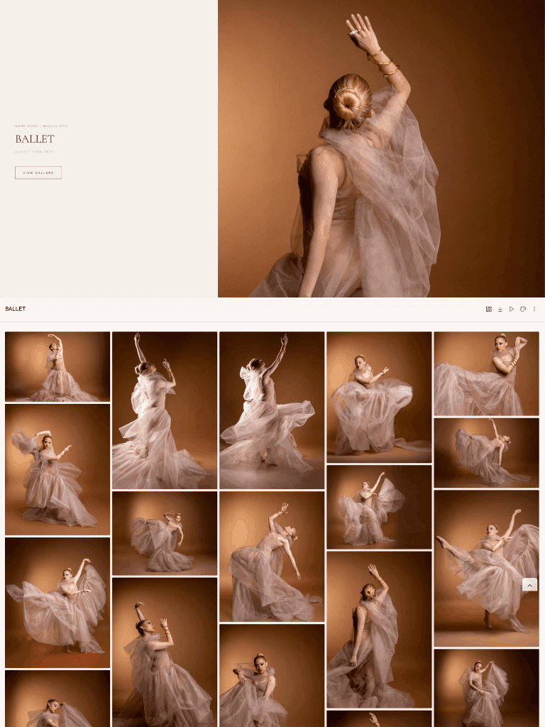 Client gallery example — branded cover, toolbar, and masonry grid